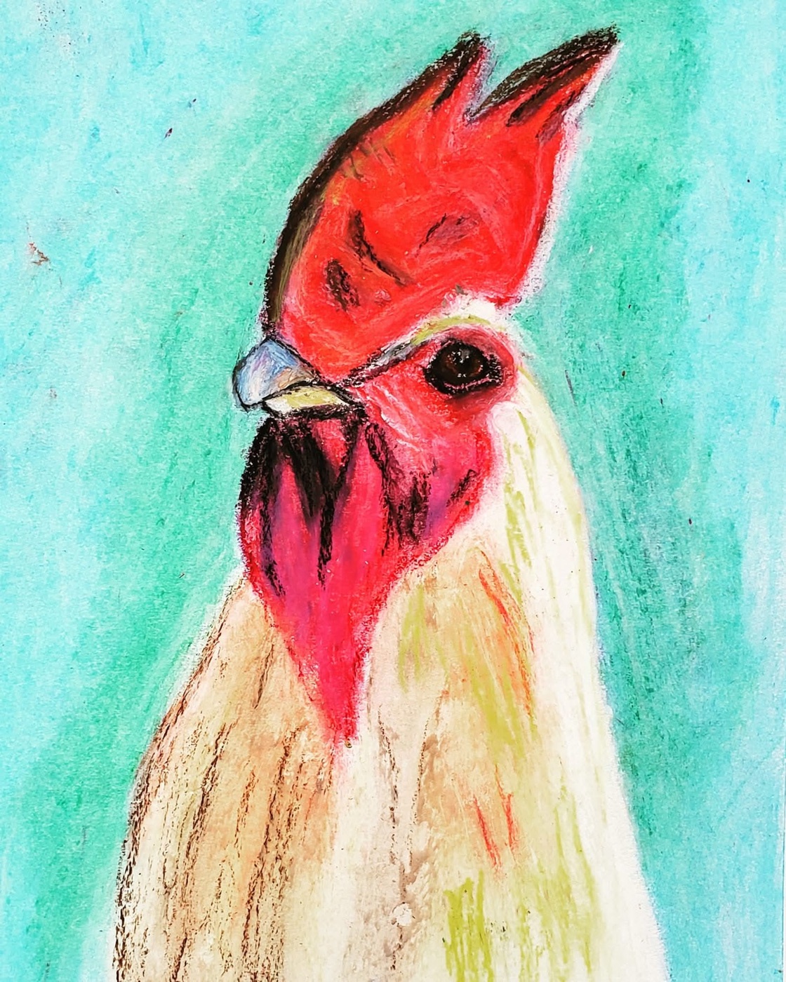 Chicken drawing