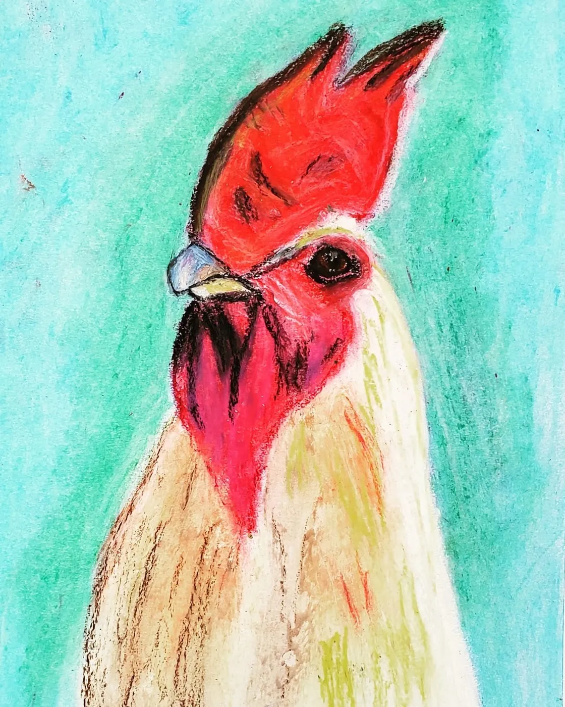 Chicken drawing