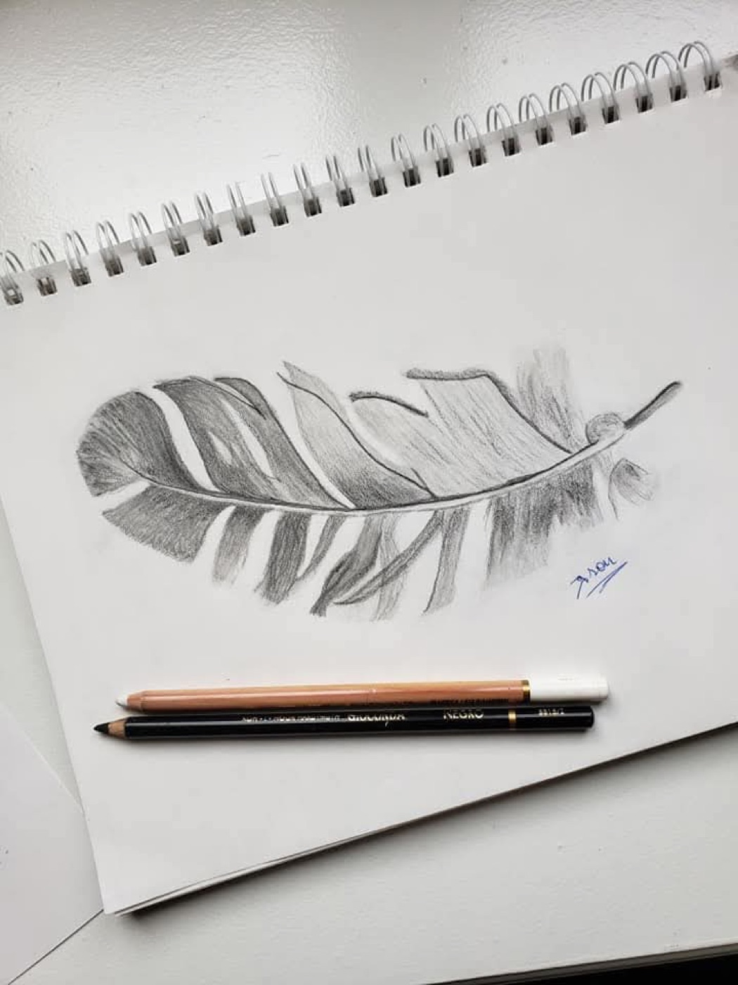 Feather drawing