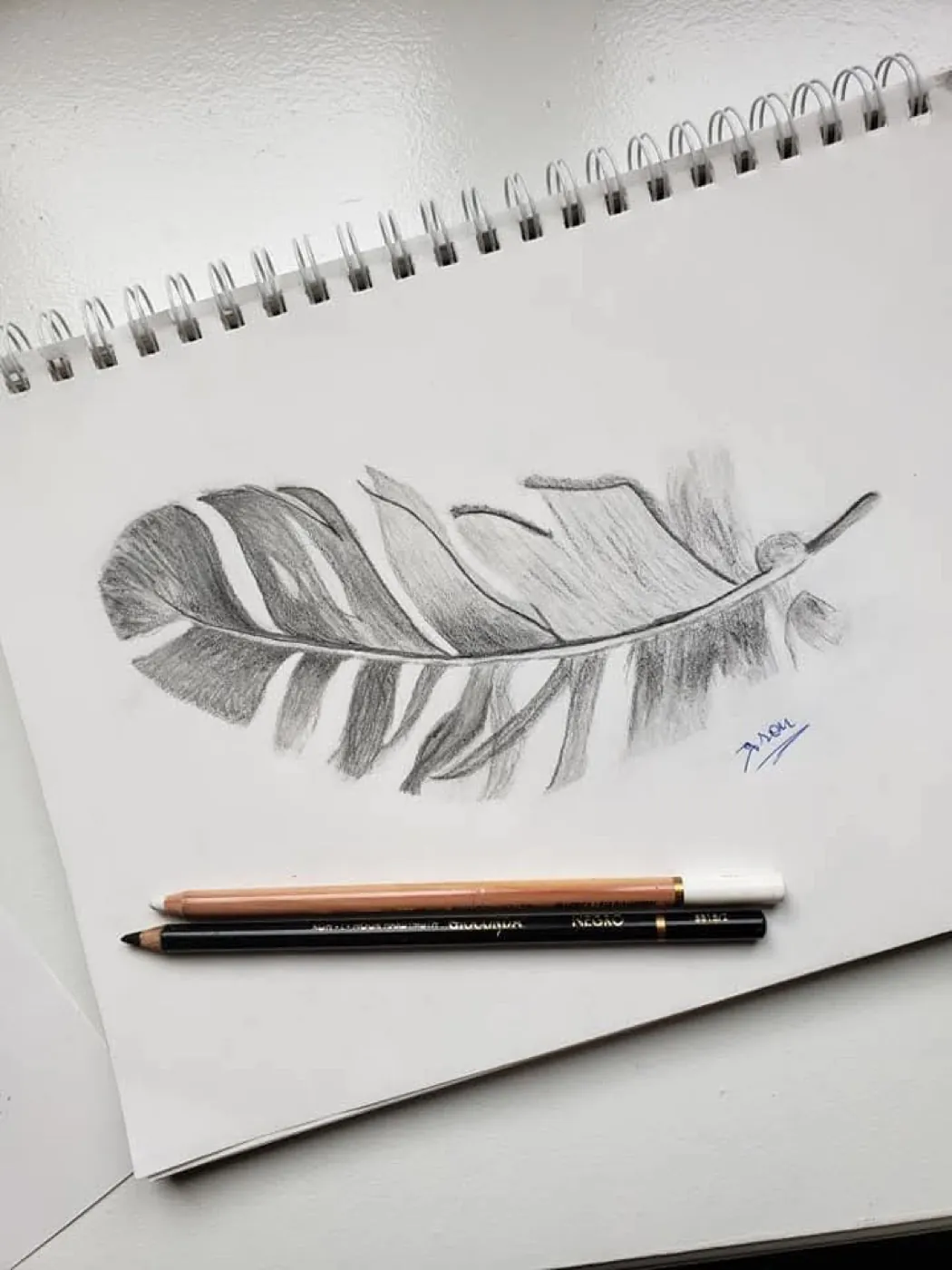 Feather drawing