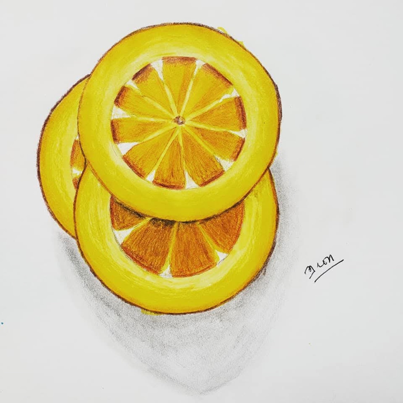 Lemon slices drawing