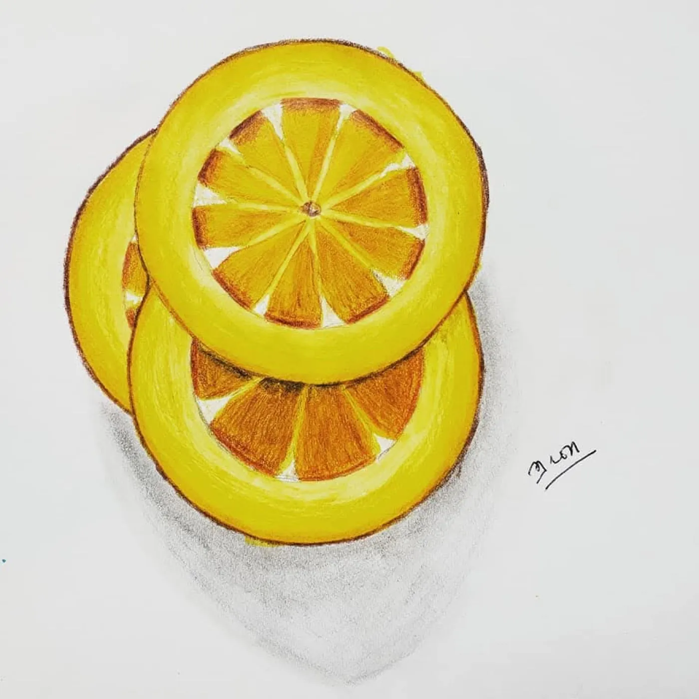 Lemon slices drawing