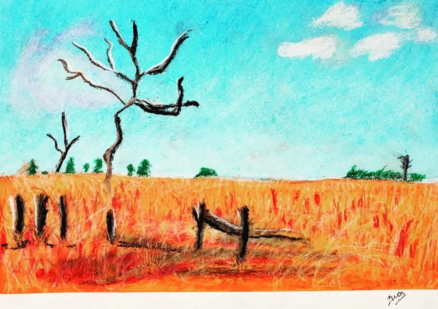 Plains drawing