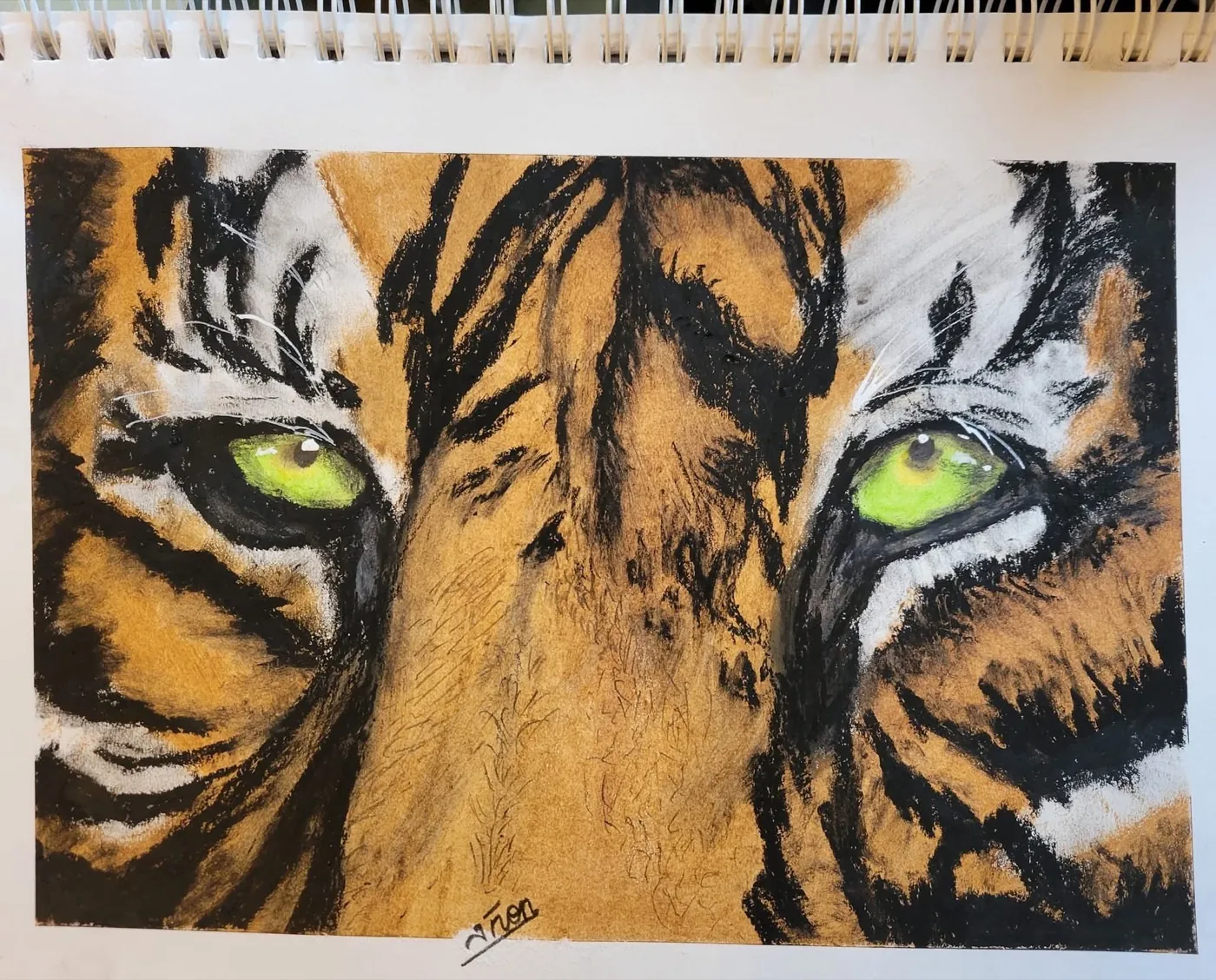 Tiger drawing