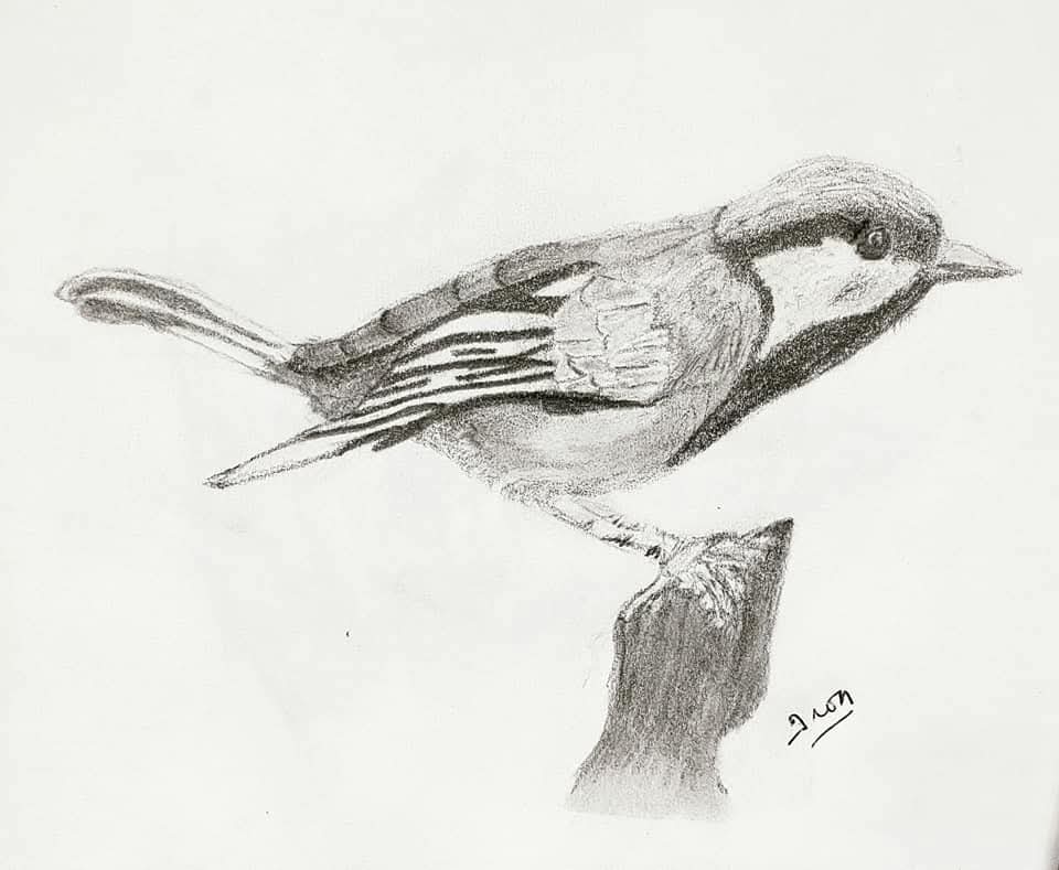 Drawing 5