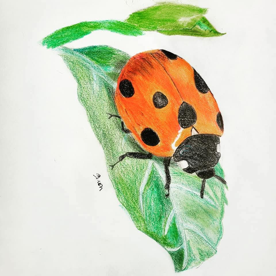 Drawing 9